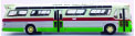 Corgi Fishbowl Green Bus Lines NY